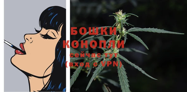 гидра Балахна