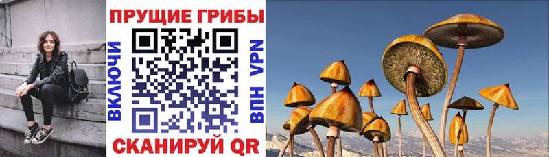 Галлюциногенные грибы прущие грибы  Купить  Верхнеуральск 